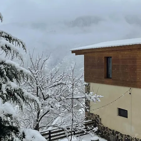 Likani-House'S Cottage Borjomi Exterior photo